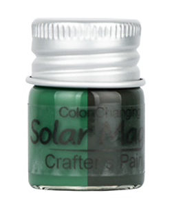 Color Changing Craft Paint Bottle - Green to Black